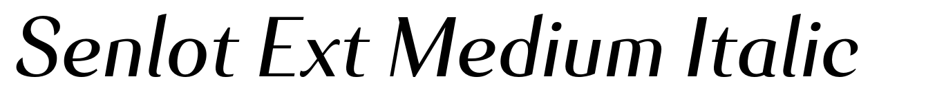 Senlot Ext Medium Italic
